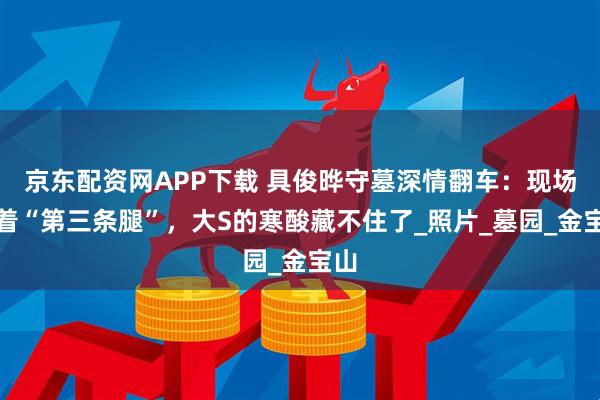 京东配资网APP下载 具俊晔守墓深情翻车：现场藏着“第三条腿”，大S的寒酸藏不住了_照片_墓园_金宝山