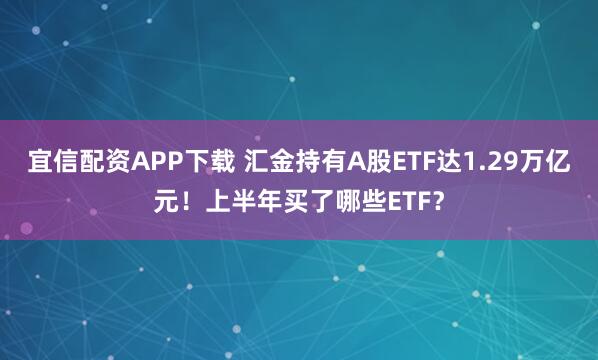 宜信配资APP下载 汇金持有A股ETF达1.29万亿元！上半年买了哪些ETF？