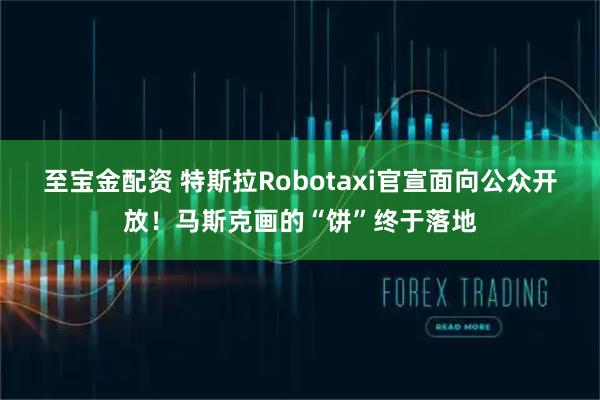 至宝金配资 特斯拉Robotaxi官宣面向公众开放！马斯克画的“饼”终于落地