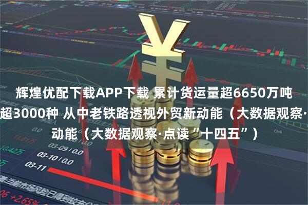 辉煌优配下载APP下载 累计货运量超6650万吨，跨境运输品类超3000种 从中老铁路透视外贸新动能（大数据观察·点读“十四五”）